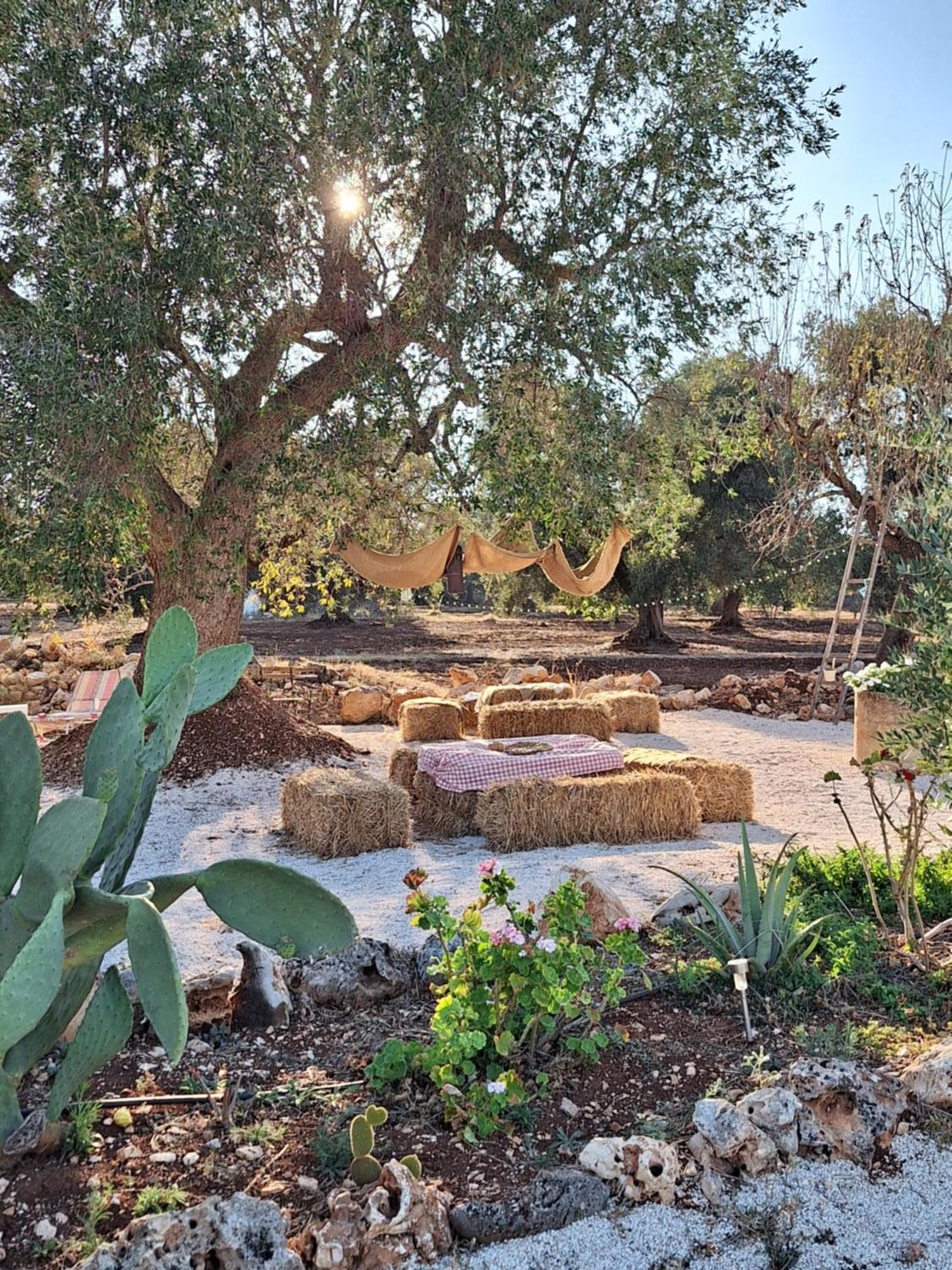 Residenza Anima Mediterranea Francavilla Fontana Exterior foto